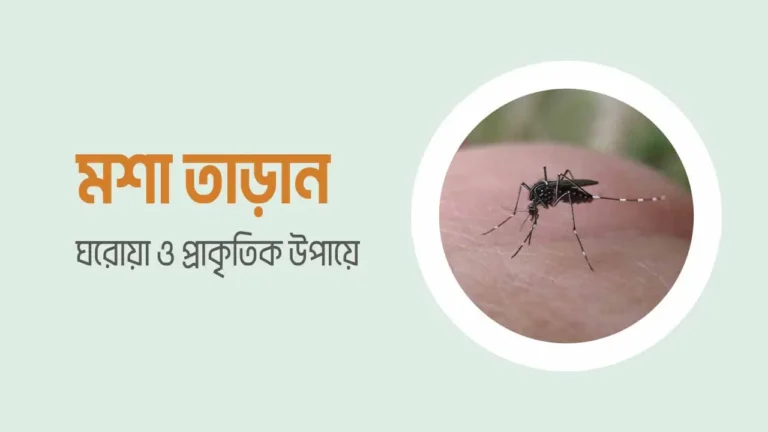 ঘর থেকে মশা তাড়ানোর প্রাকৃতিক উপায়