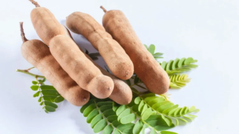 তেঁতুলের ছবি